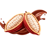 Cacau